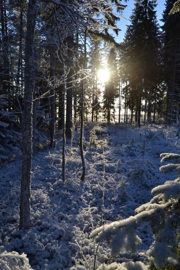 Kujanpaeae | Paajoen Vuokramoekit 호텔 Himos 외부 사진